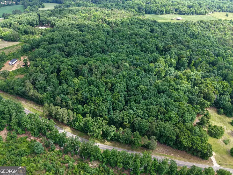 TRACT 5 Christmas Tree Road, Homer, GA 30547 - #3