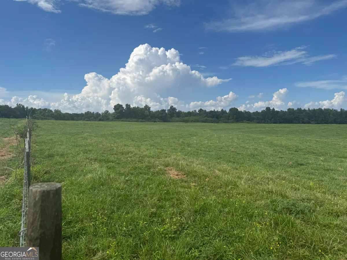 0 Louise Lane, Roopville, GA 30170 - #1
