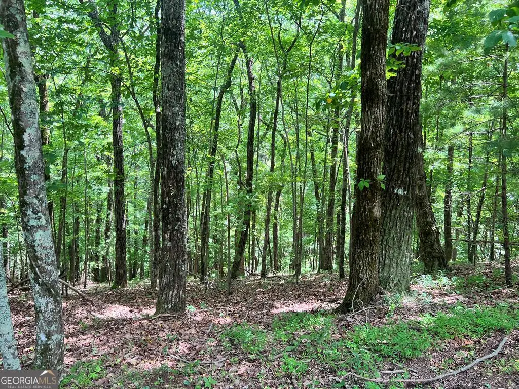 LT G667-G68 Mountain Oak Road, Ellijay, GA 30536 - #1
