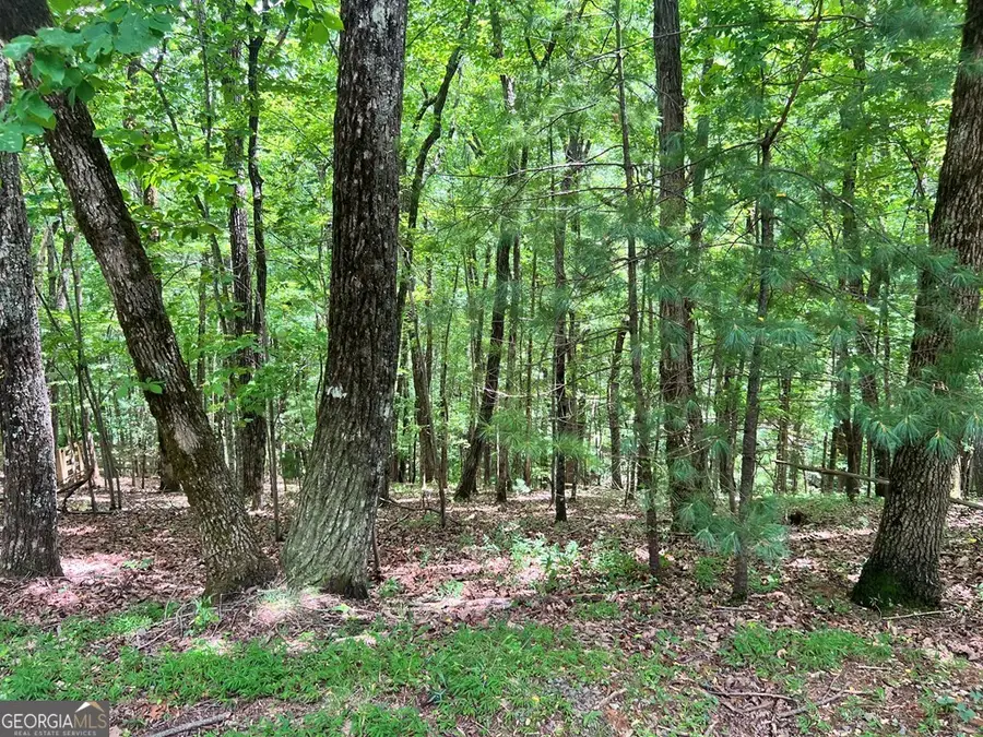 LT G667-G68 Mountain Oak Road, Ellijay, GA 30536 - #3