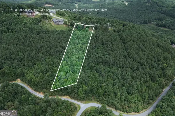 LOT 13 Thirteen Hundred, Blairsville, GA 30512