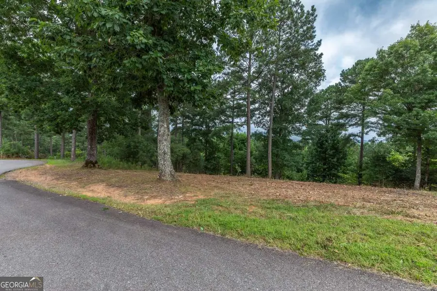 LOT 13 Thirteen Hundred, Blairsville, GA 30512 - #3