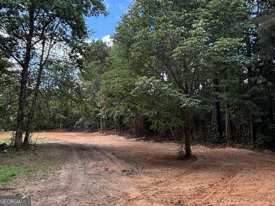 17 Blackberry Creek Drive, Carrollton, GA 30116 - #2