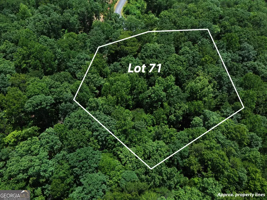 LT 71 High Summit, Talking Rock, GA 30175 - #2