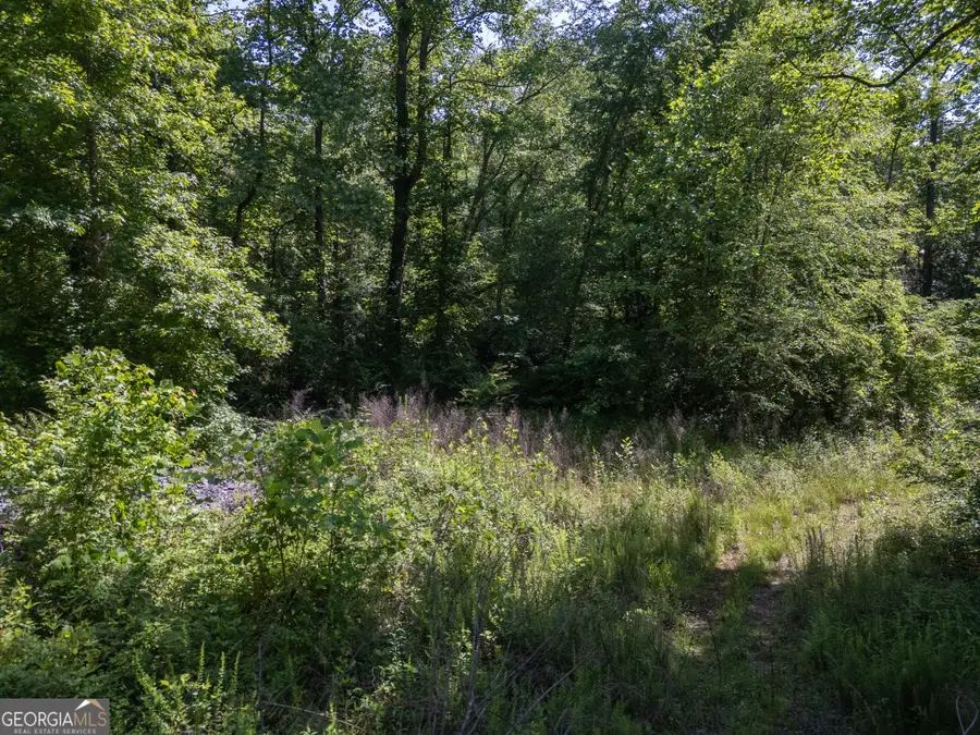 440 Joe Franklin Road, Sautee Nacoochee, GA 30571 - #2