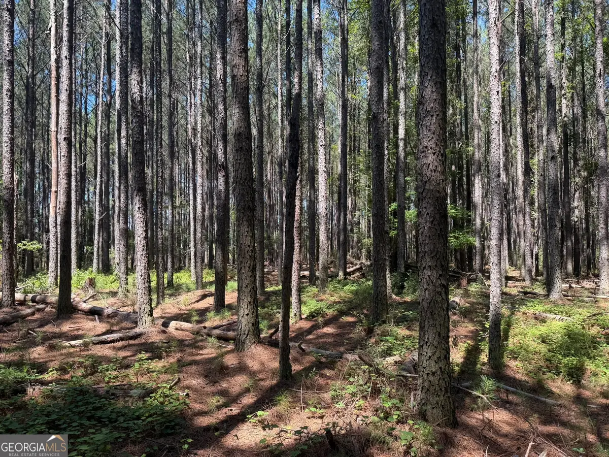 0 Hulmes Chapel, Elberton, GA 30635 - #1