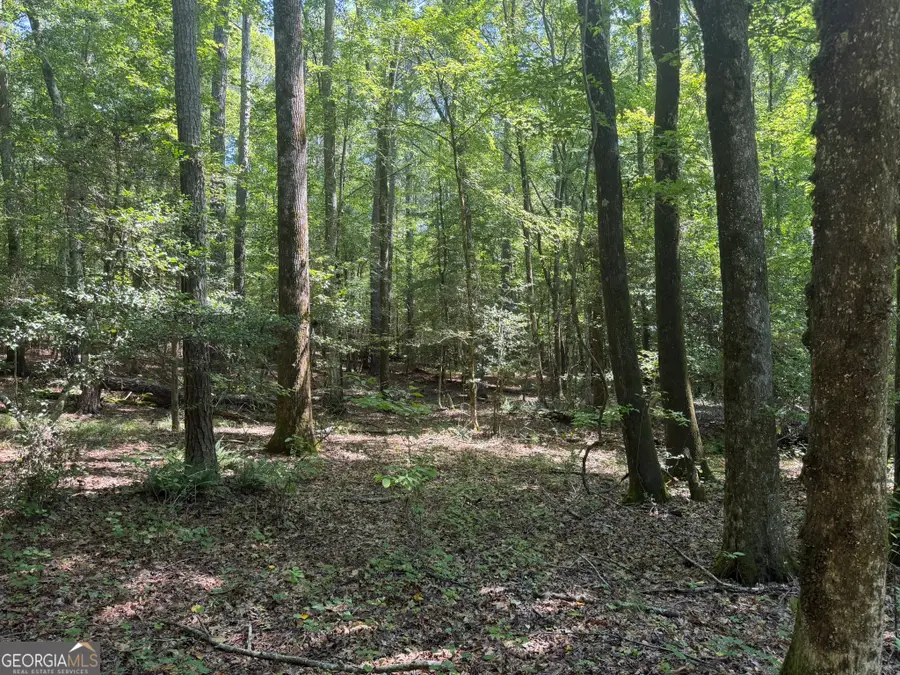 0 Hulmes Chapel, Elberton, GA 30635 - #2