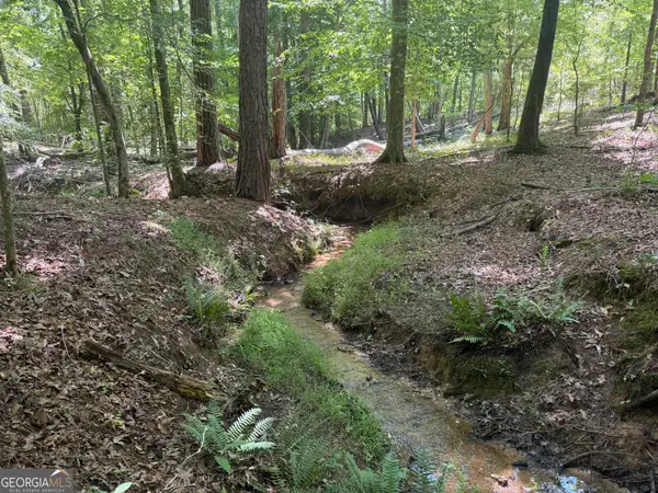 0 Ruckersville Road, Elberton, GA 30635