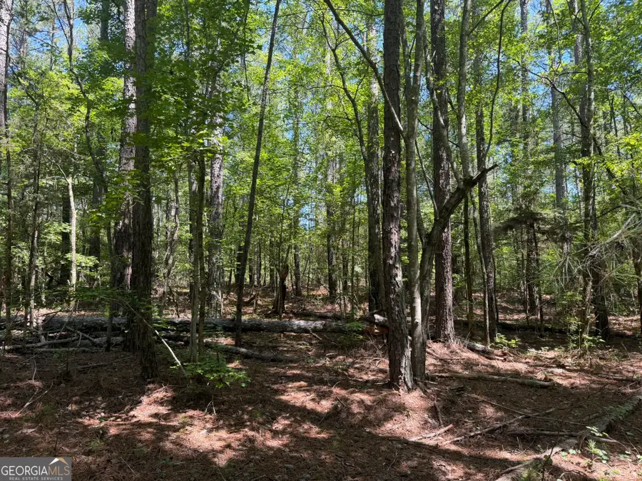 0 Ruckersville Road, Elberton, GA 30635 - #2