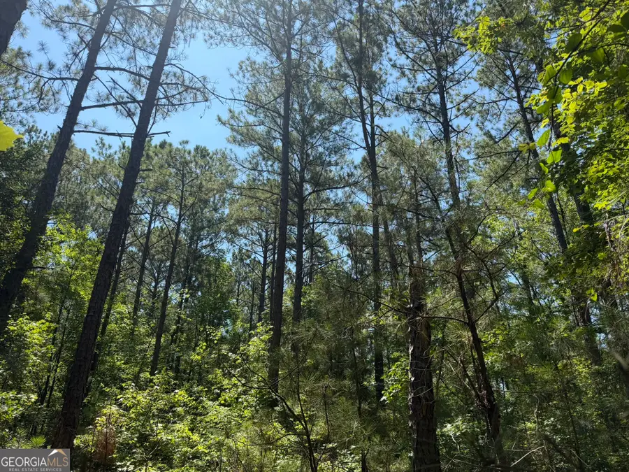 0 Ruckersville Road, Elberton, GA 30635 - #3