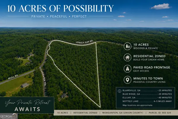 0 Jonica Gap Road, Morganton, GA 30560