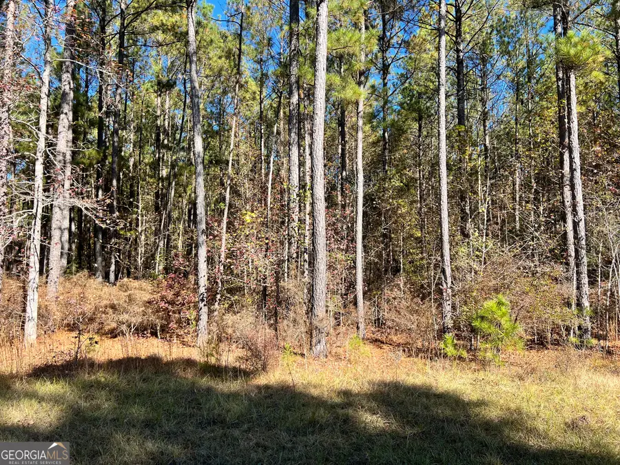 00 Mariners Way, Lincolnton, GA 30817 - #2