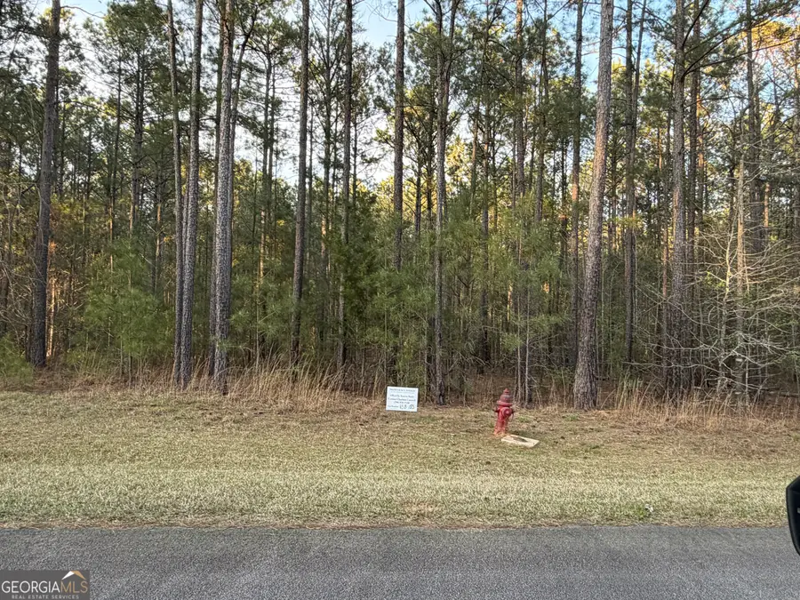 00 Mariners Way, Lincolnton, GA 30817 - #3