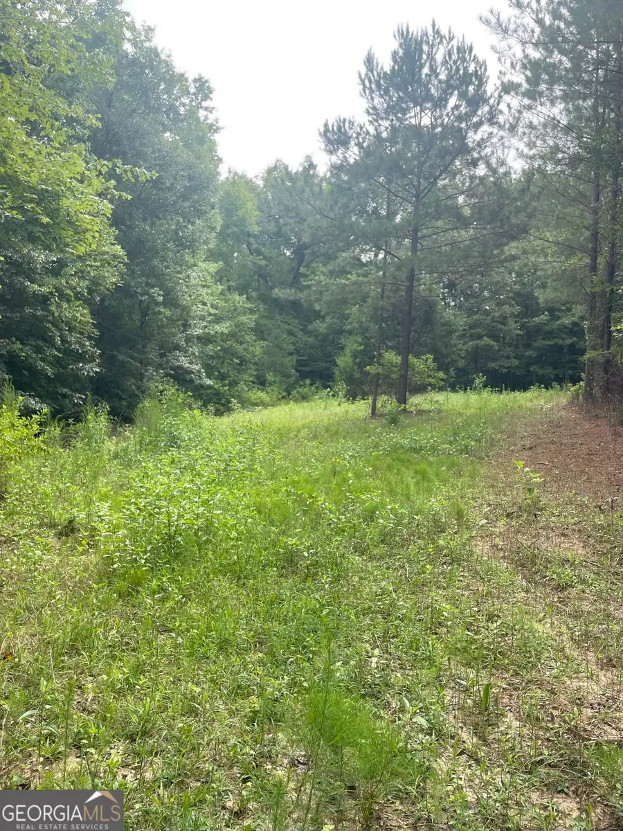 0 GRAHAM ROAD Graham Road, Hogansville, GA 30230 - #2