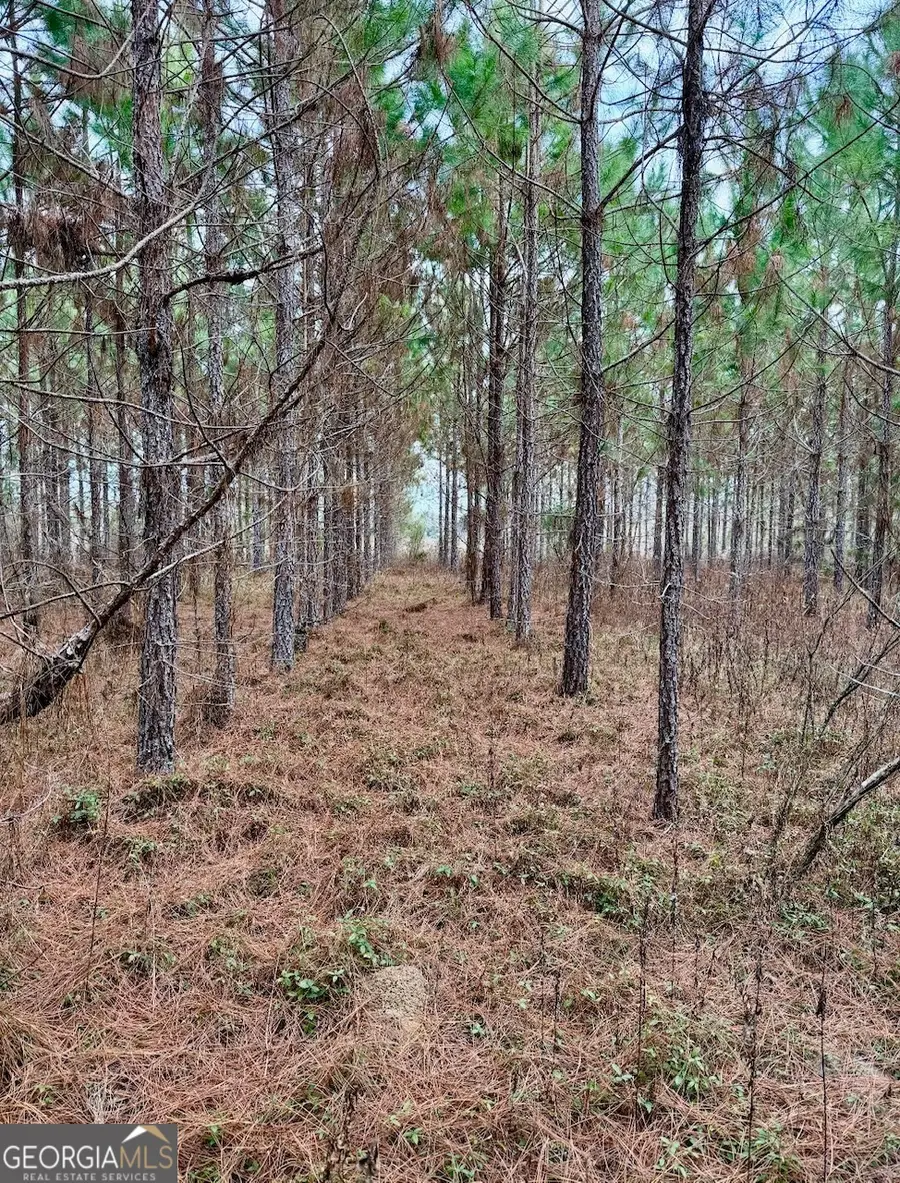 0 John M Brewton Road, Glennville, GA 30427 - #3