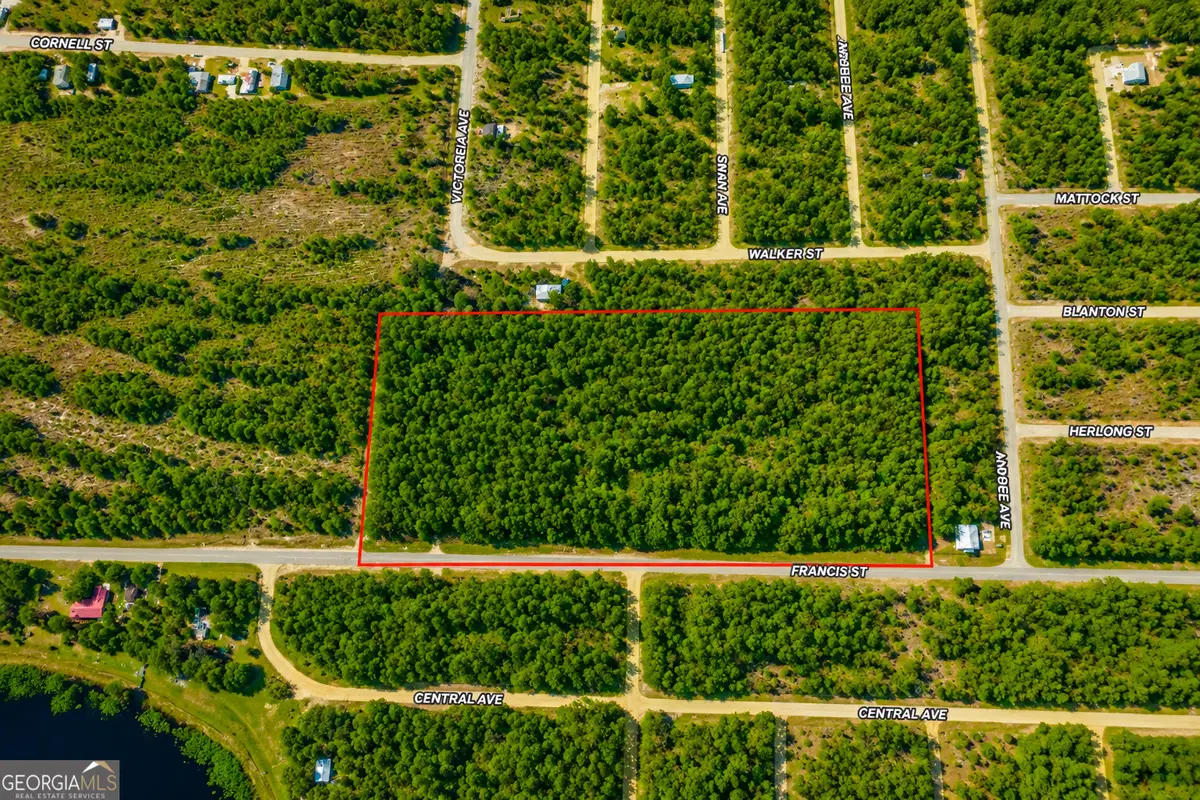 237 N Francis Street, Interlachen, FL 32148 - #1