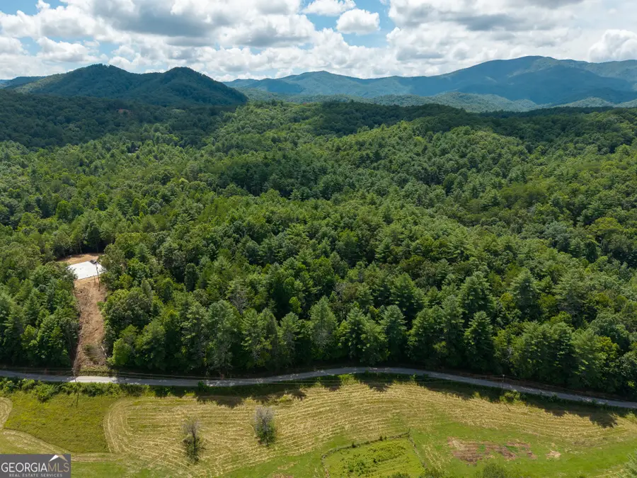 0 White Pine Road, McCaysville, GA 30555 - #2