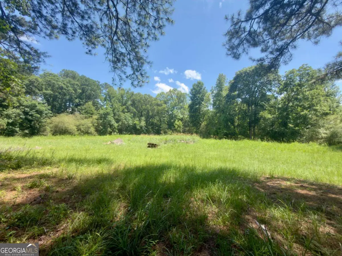 7.69 Leslie Mill Road, Greensboro, GA 30642 - #1