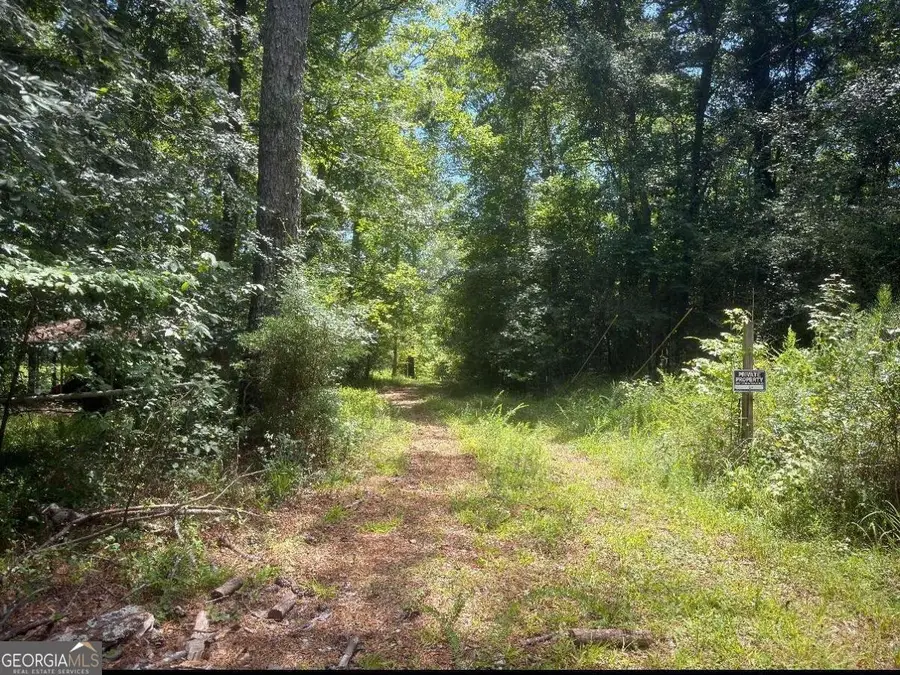 7.69 Leslie Mill Road, Greensboro, GA 30642 - #3