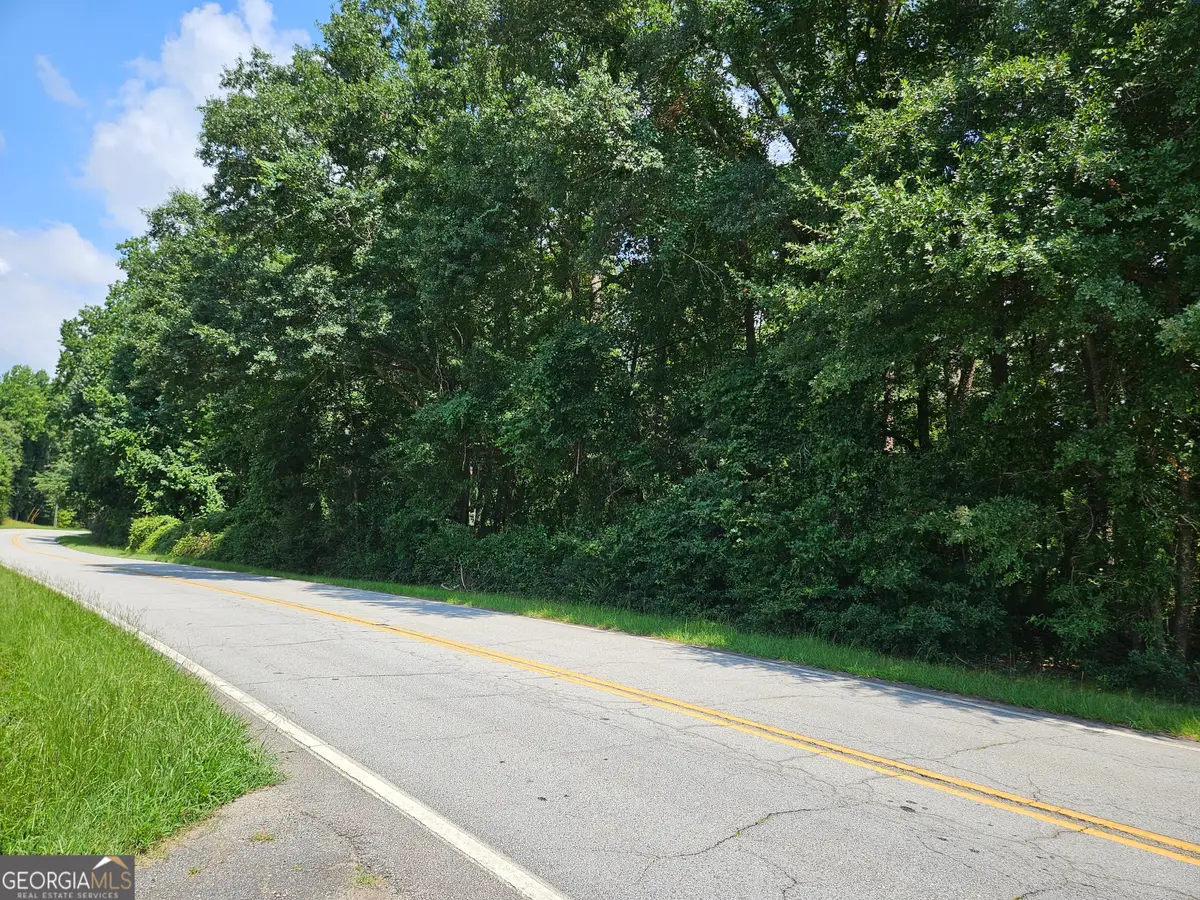 LOT 3 June Ivey Rd, Bethlehem, GA 30620 - #1