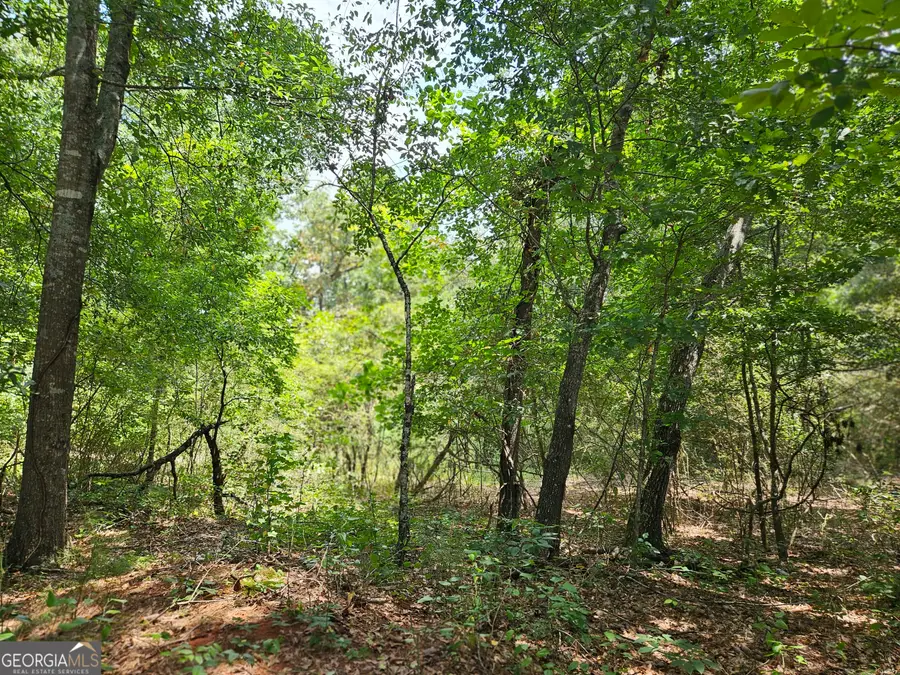 LOT 3 June Ivey Rd, Bethlehem, GA 30620 - #2