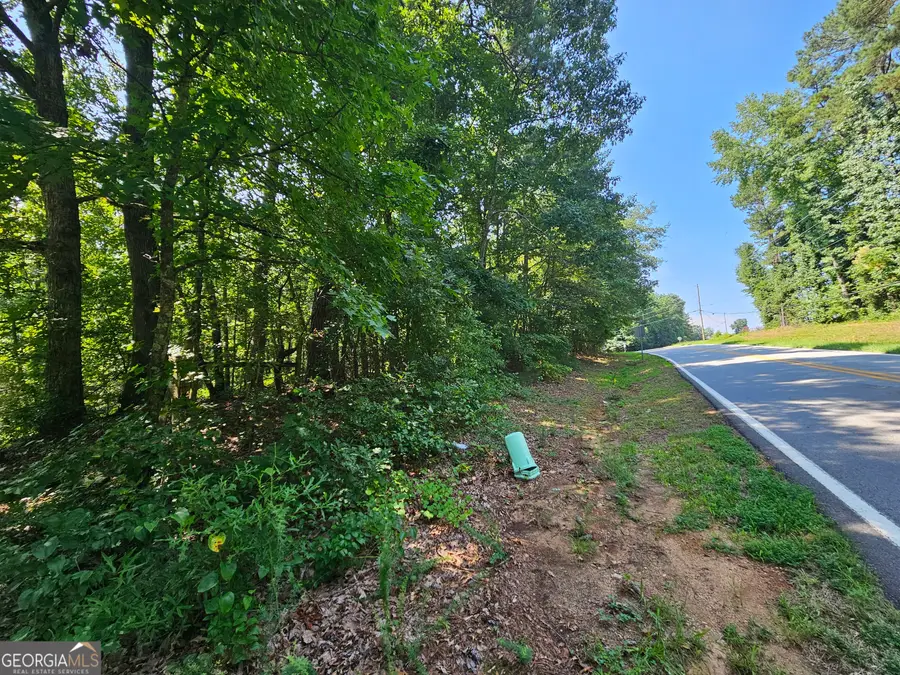 LOT 3 June Ivey Rd, Bethlehem, GA 30620 - #3