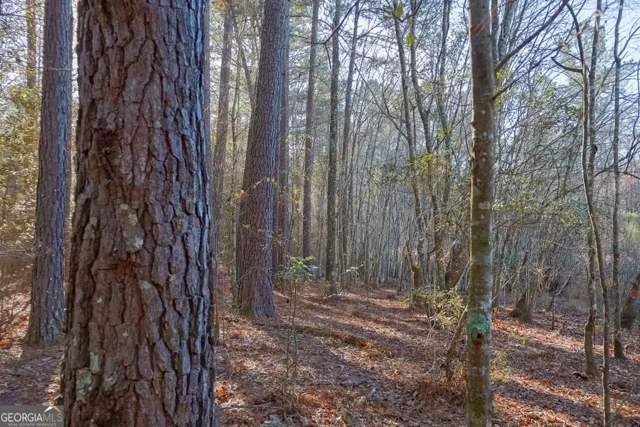 557 Limestone Road, Cochran, GA 31014 - #2