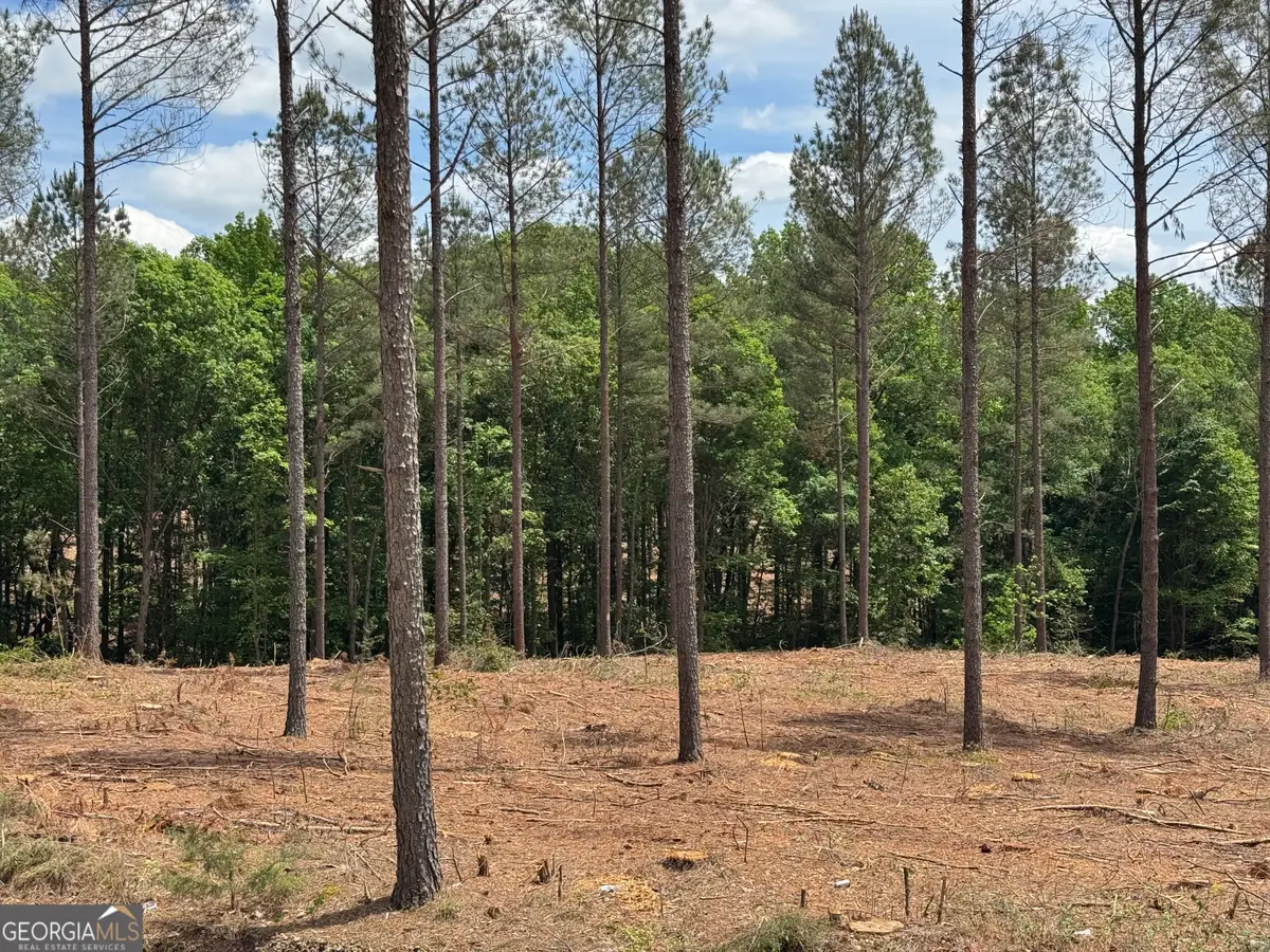 0 Cromer Road, Dewy Rose, GA 30634 - #1