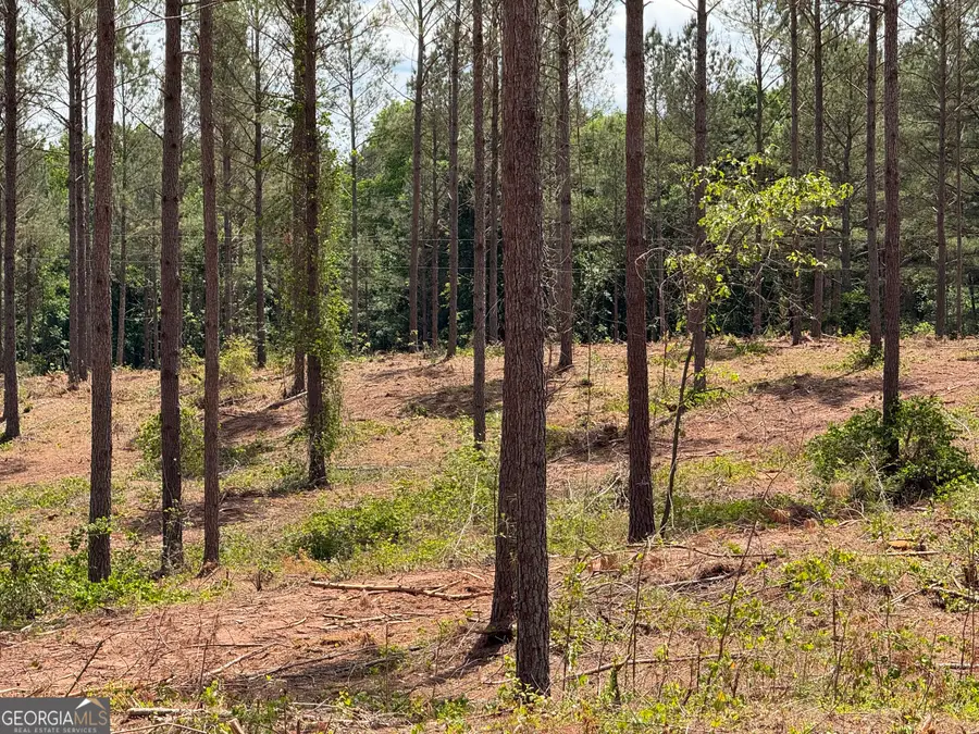 0 Cromer Road, Dewy Rose, GA 30634 - #3