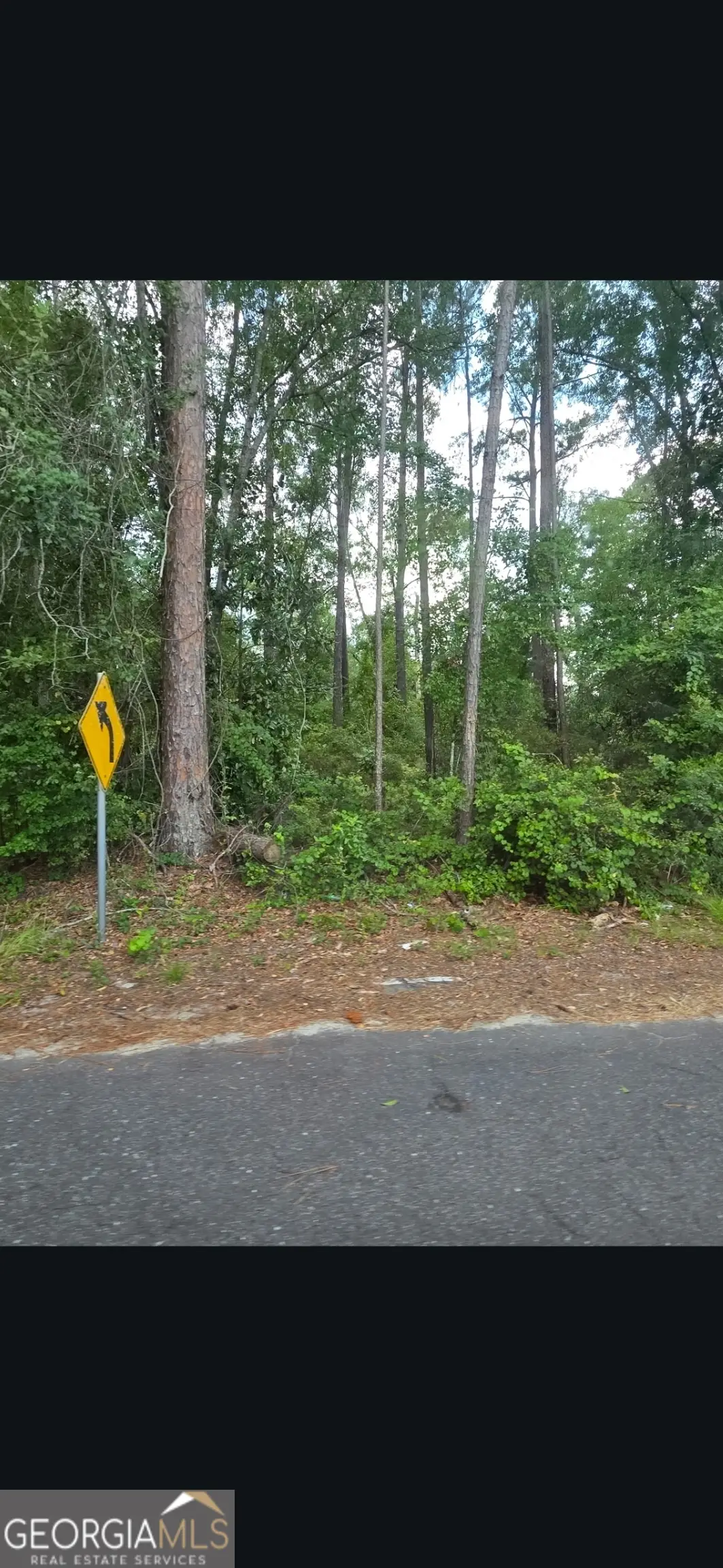0 Johnson Street, Baxley, GA 31513 - #1