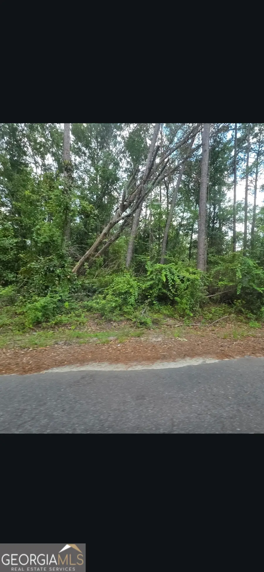 0 Johnson Street, Baxley, GA 31513 - #3