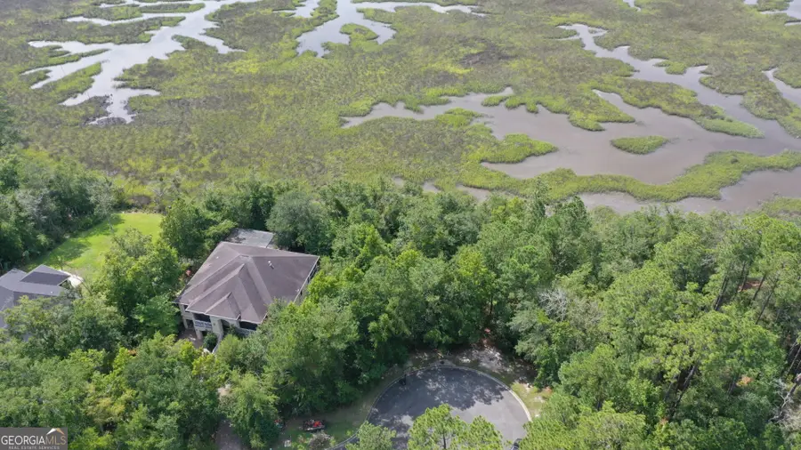 V/L 23 Woodstork Place, Kingsland, GA 31548 - #3