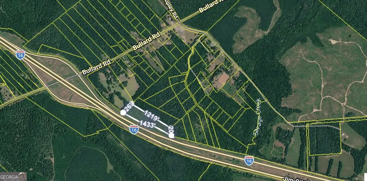 0 Noah Thomas Road, Dry Branch, GA 31020 - #1