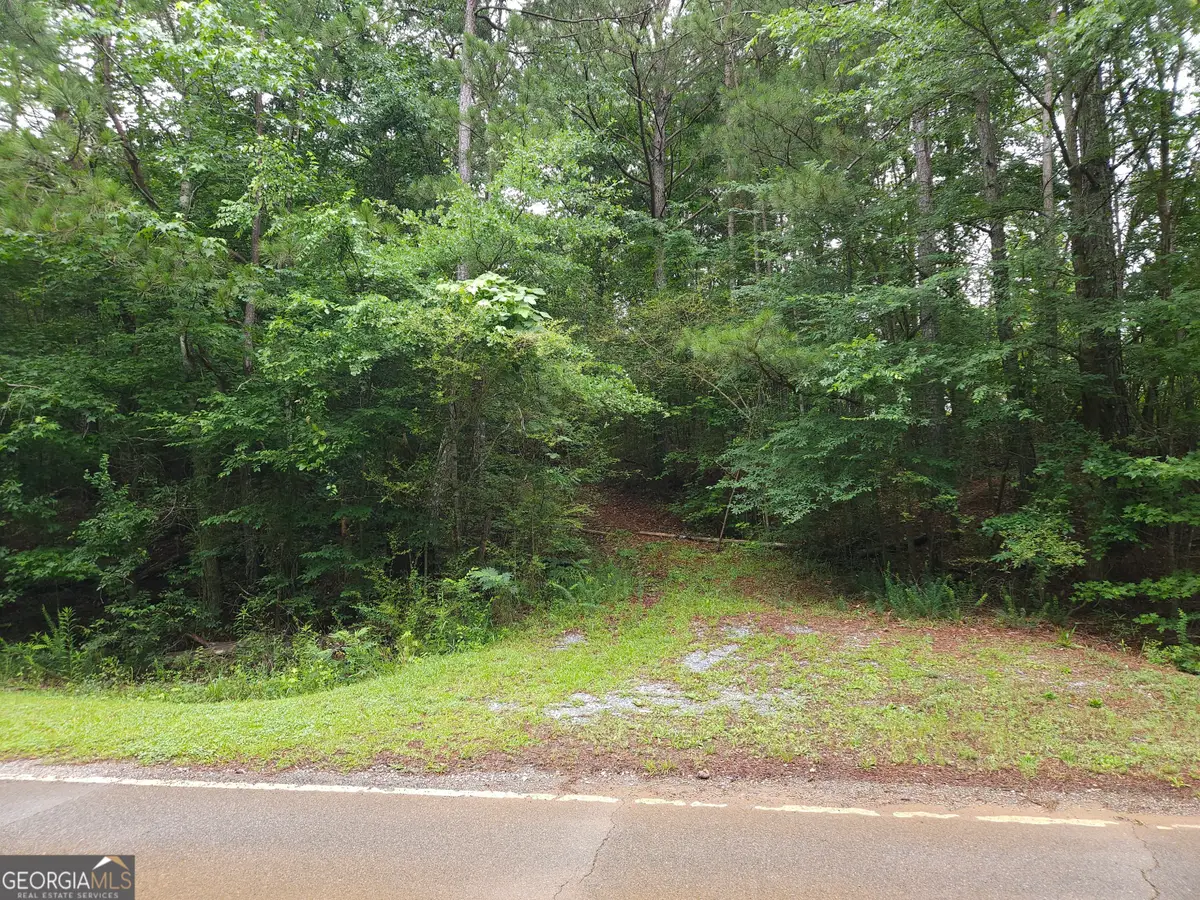 0 Potash Road #19A019, Cedartown, GA 30125 - #1