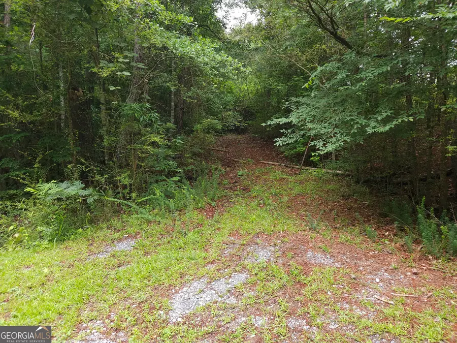 0 Potash Road #19A019, Cedartown, GA 30125 - #2