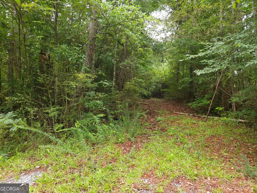 0 Potash Road #19A019, Cedartown, GA 30125 - #3
