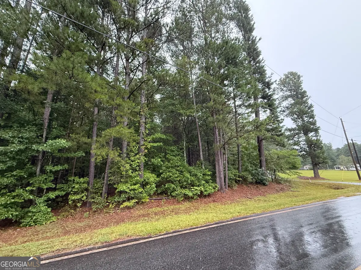 0 Lee Thompson Road, Moreland, GA 30259 - #1