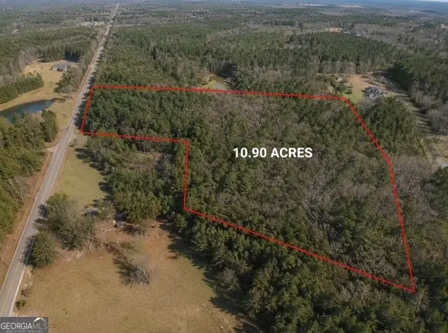 0 Lee Thompson Road, Moreland, GA 30259 - #2