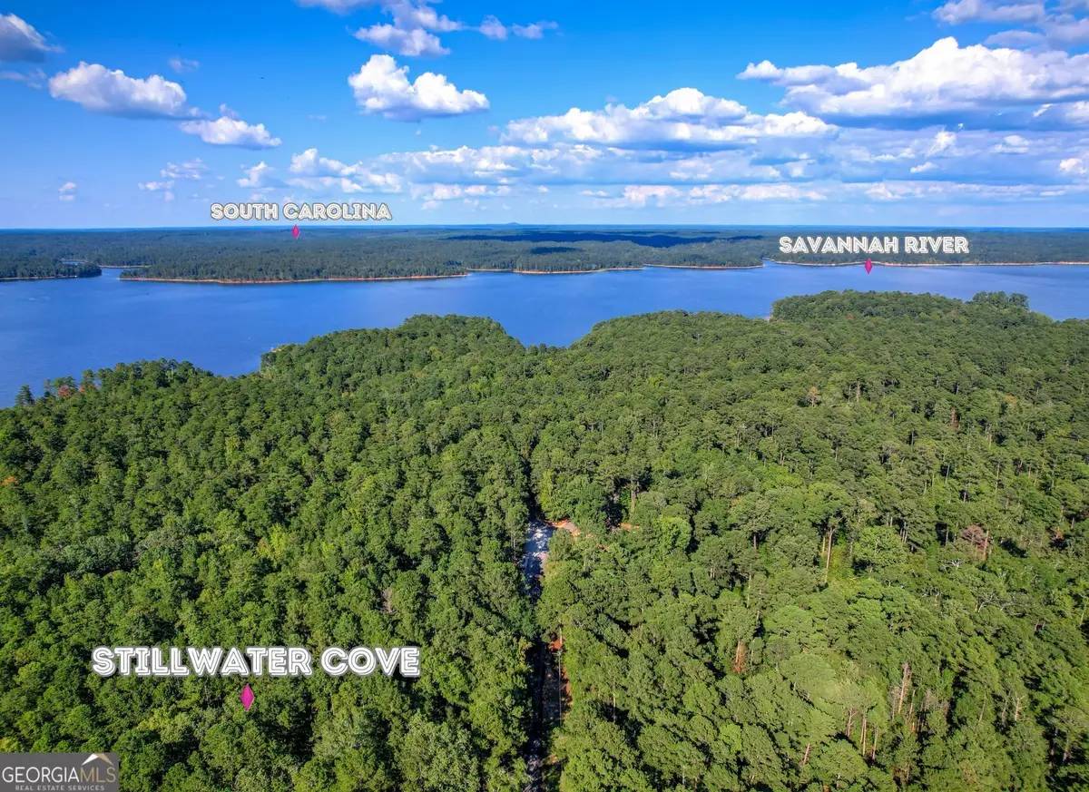 1309 Shimmering Water Cove, Tignall, GA 30668 - #1