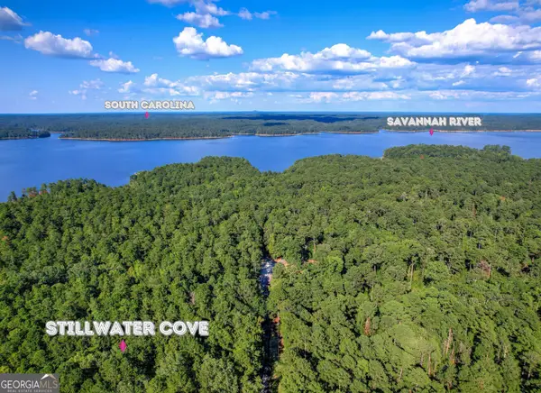 1309 Shimmering Water Cove, Tignall, GA 30668