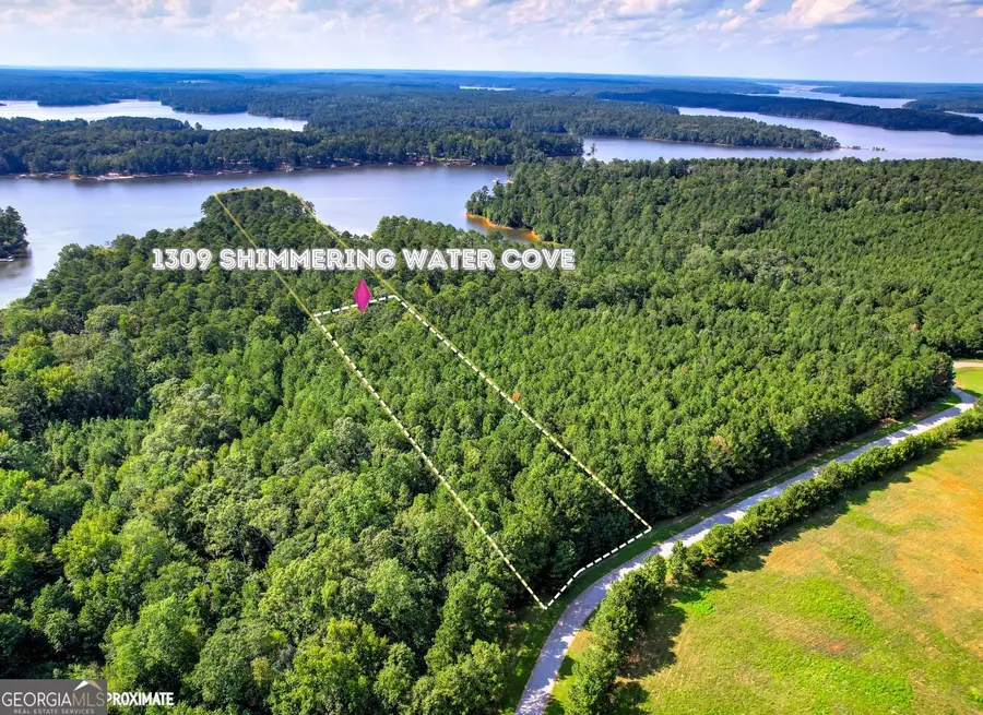 1309 Shimmering Water Cove, Tignall, GA 30668 - #2