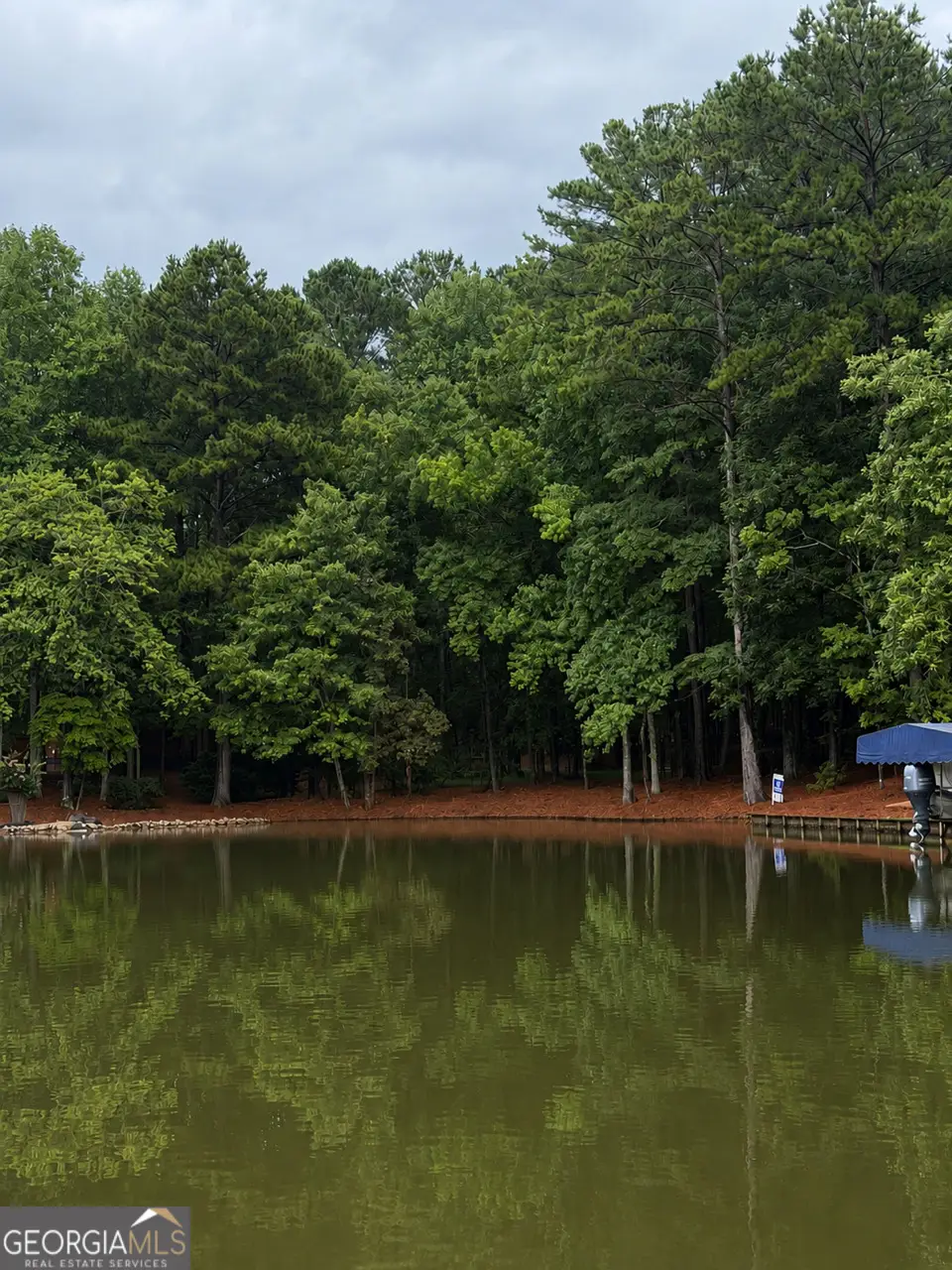 1290 Tal Lewis Road, White Plains, GA 30678 - #1