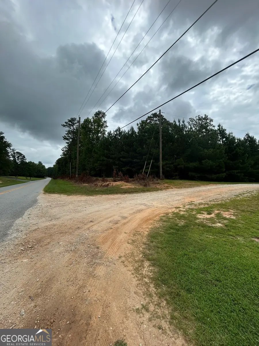 CR 79 Clark Street, Roanoke, AL 36274 - #2