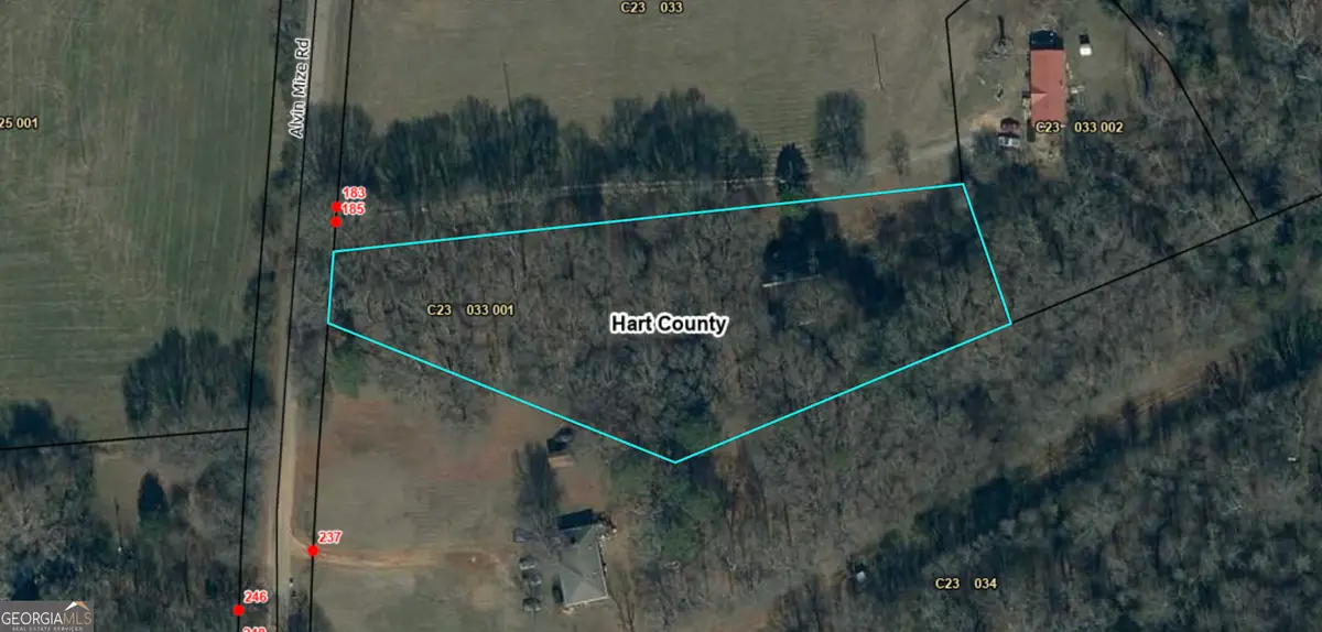 185 Alvin Mize Road, Royston, GA 30662 - #1