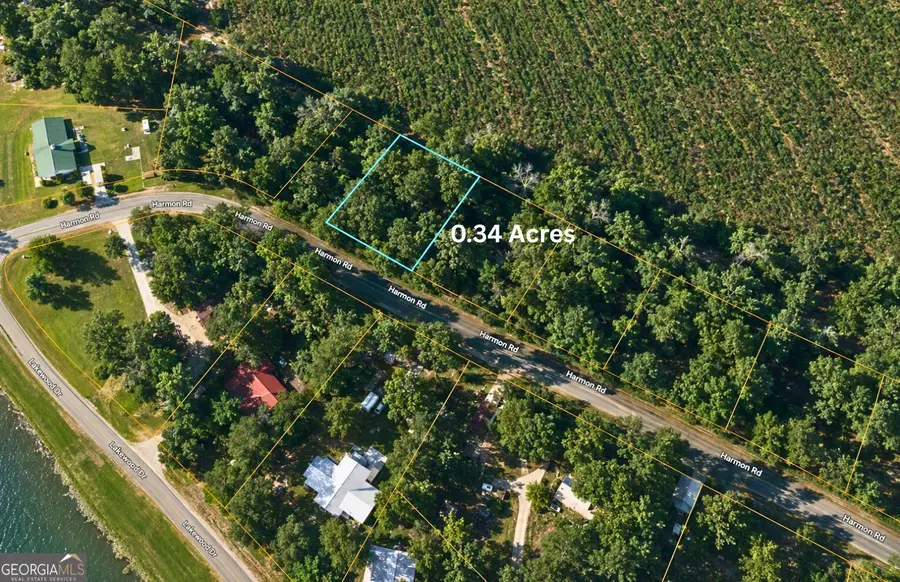 TBD1 Harmon Road, Swainsboro, GA 30401 - #2