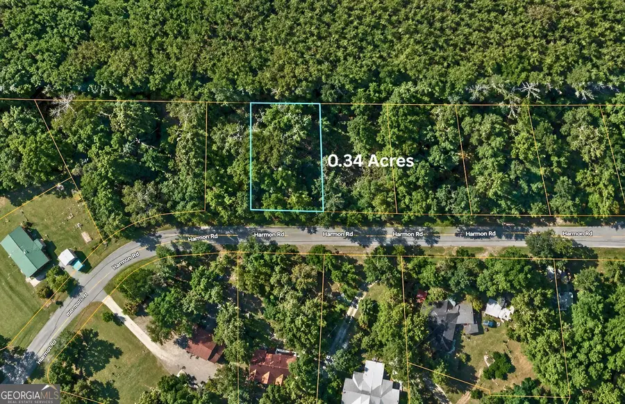 TBD1 Harmon Road, Swainsboro, GA 30401 - #3