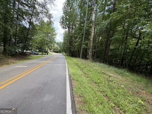 LOT 16 Calhoun Road, Dahlonega, GA 30533 - #2