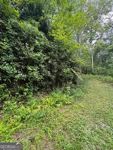 0 Crest Lane #LOT 5, Rabun Gap, GA 30568 - #3