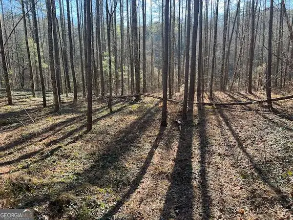 3 Old Miller Rock Road, Ellijay, GA 30540