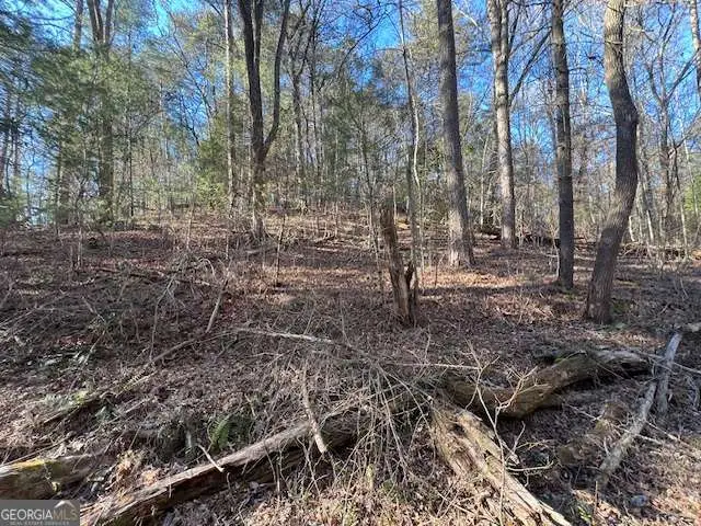 3 Old Miller Rock Road, Ellijay, GA 30540 - #2